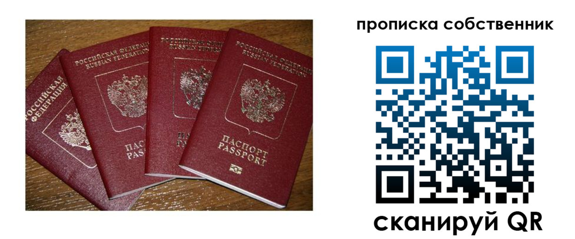 прописка поиск в Сельцо